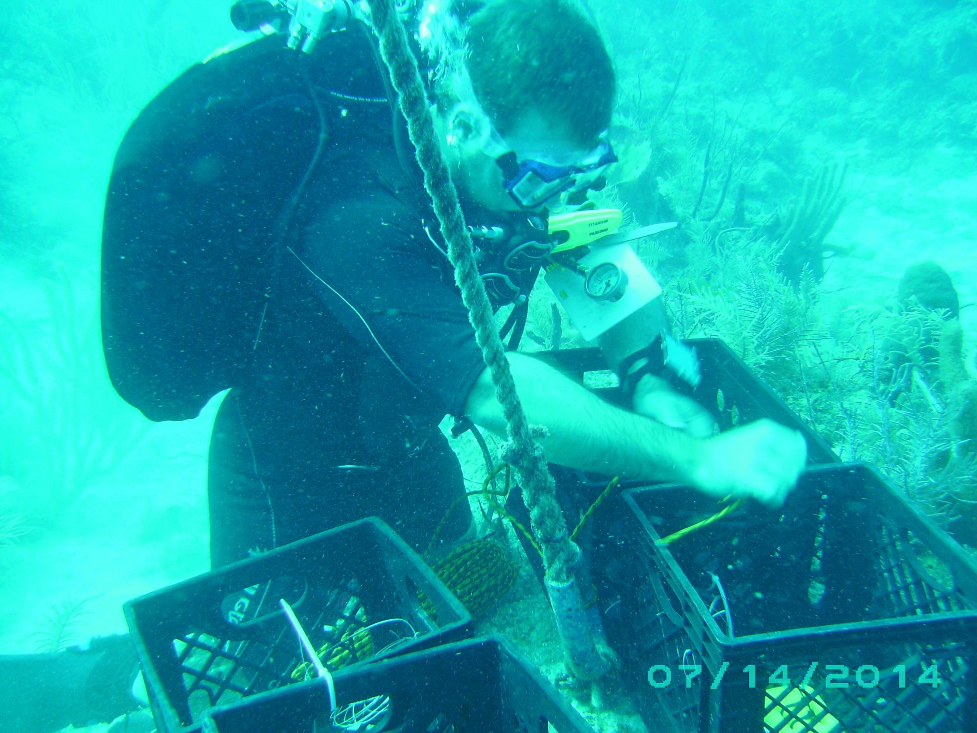 2014: John Skutnik preparing for coral collection
